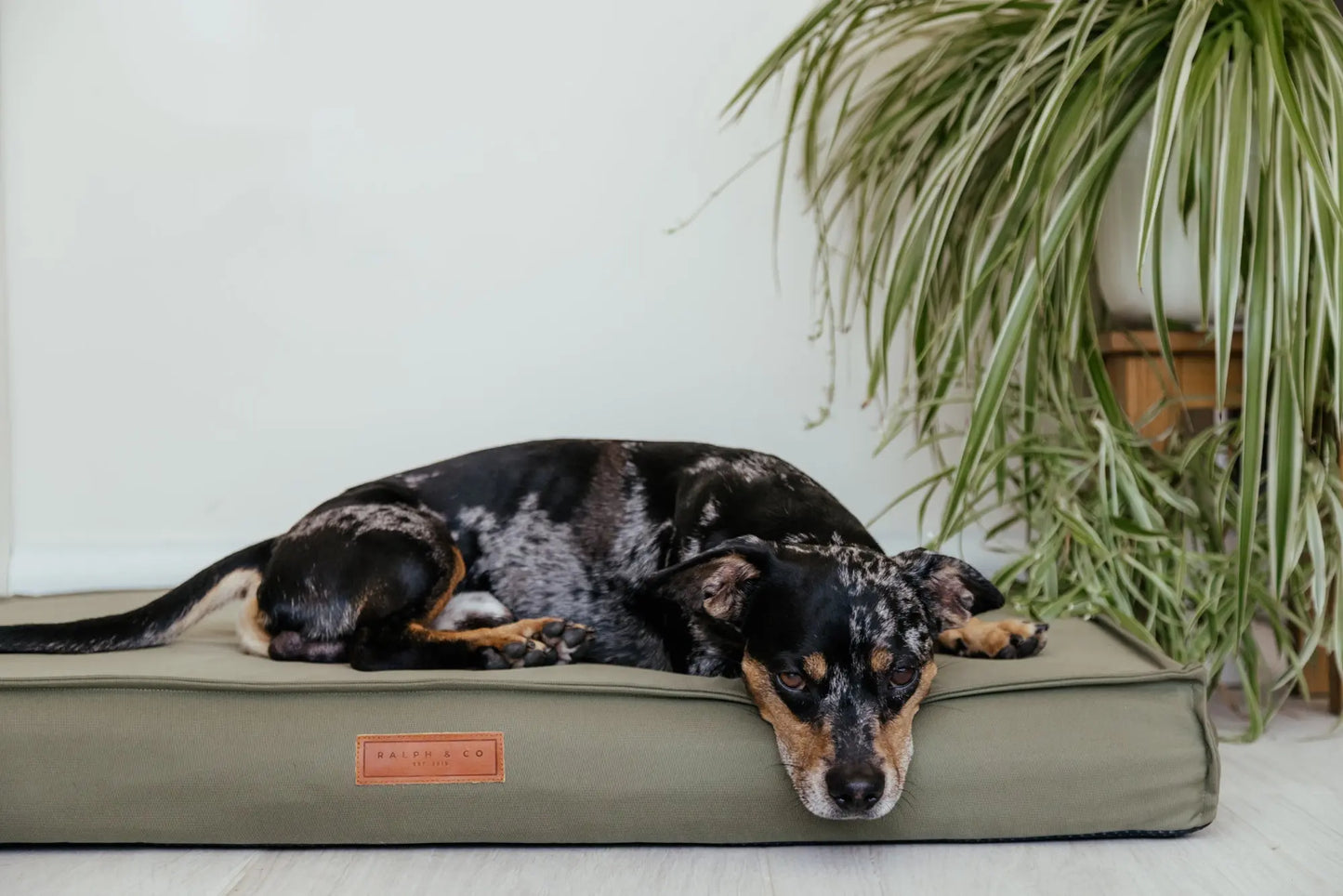 Waterproof & Memory Foam Dog Bed With Removable Covers | Henley Ralph & Co