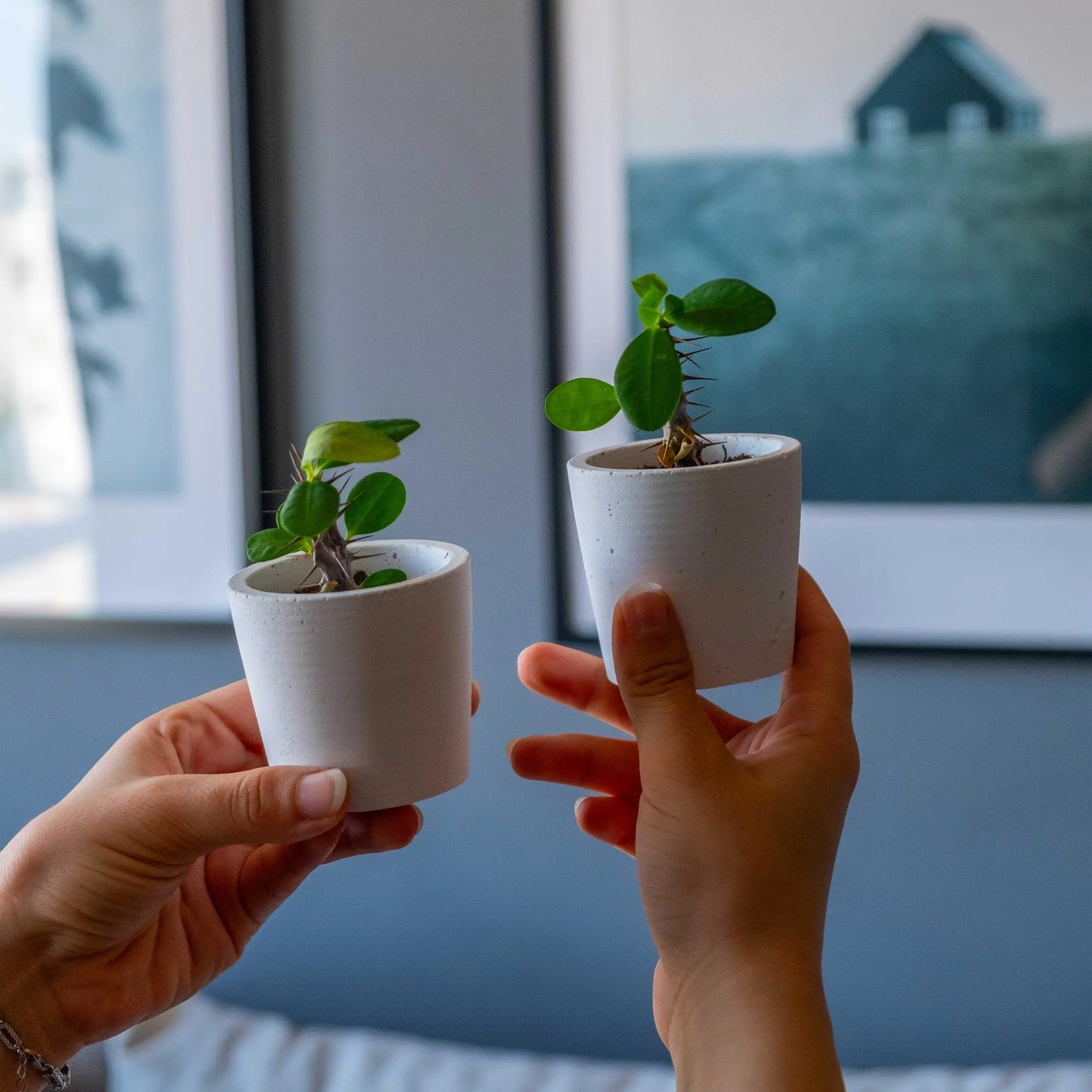 White Concrete Blossom Pot Gloria Home