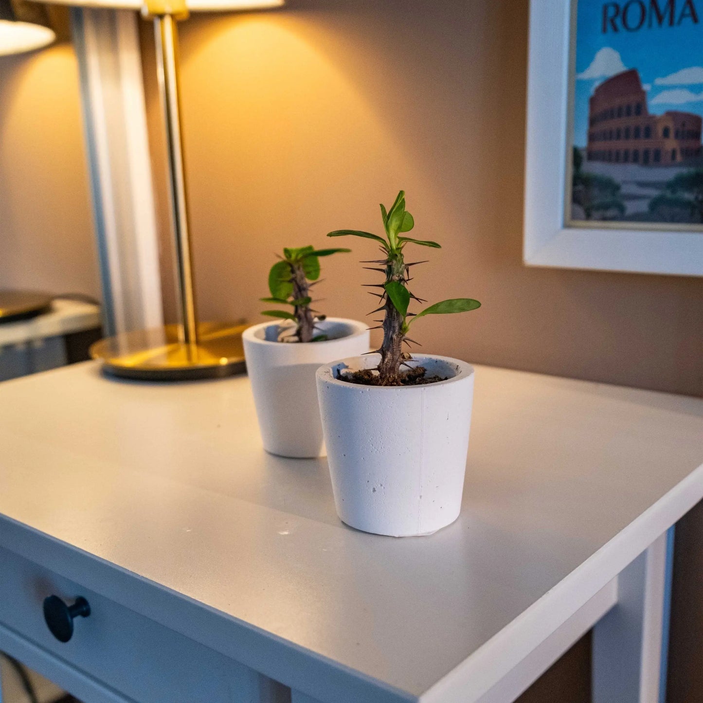 White Concrete Blossom Pot Gloria Home
