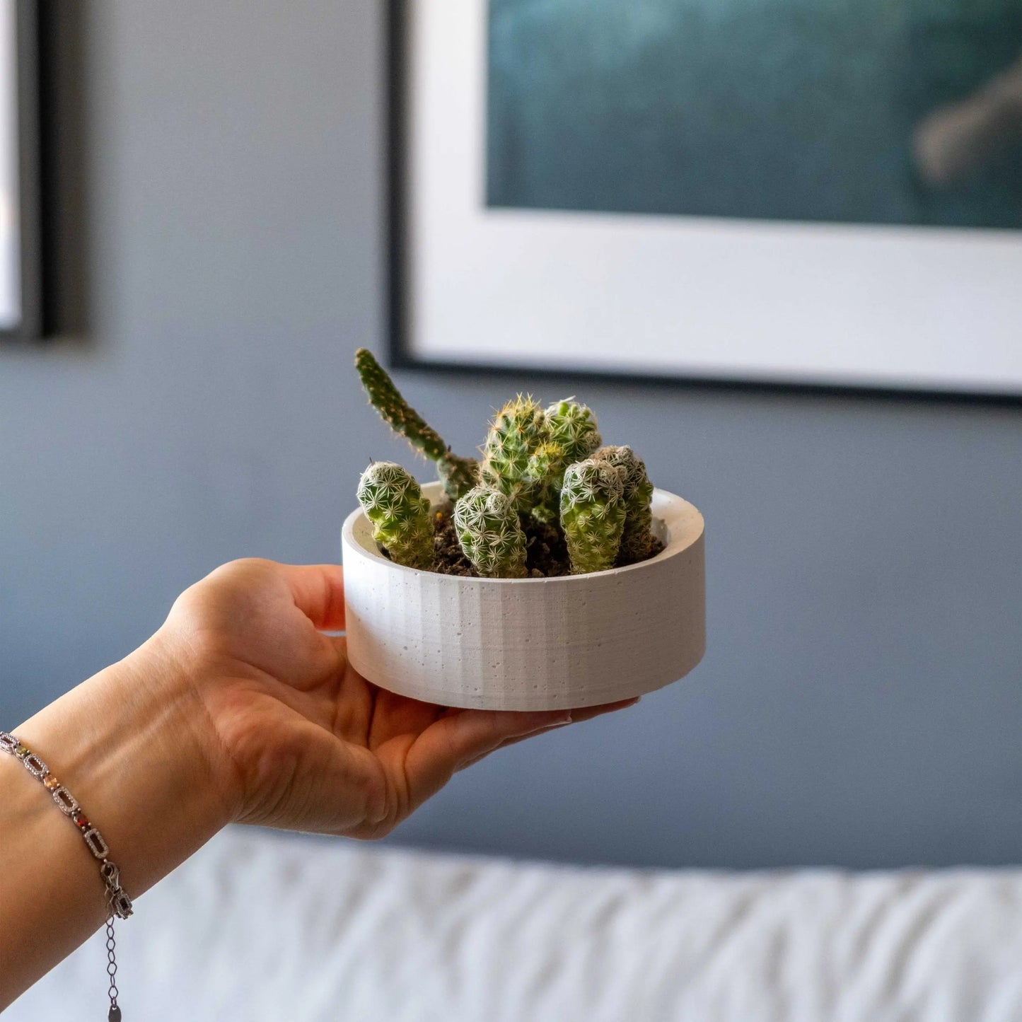 White Concrete Handle Pot Gloria Home