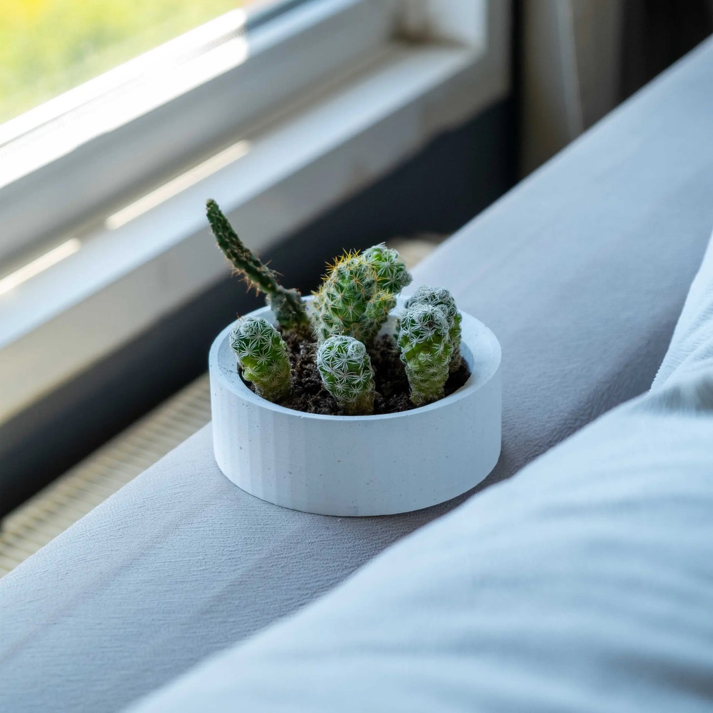 White Concrete Handle Pot Gloria Home