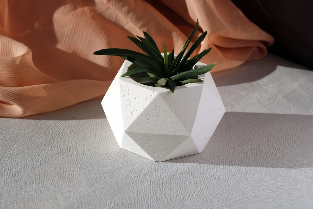 White Concrete Polygonal Pot Gloria Home