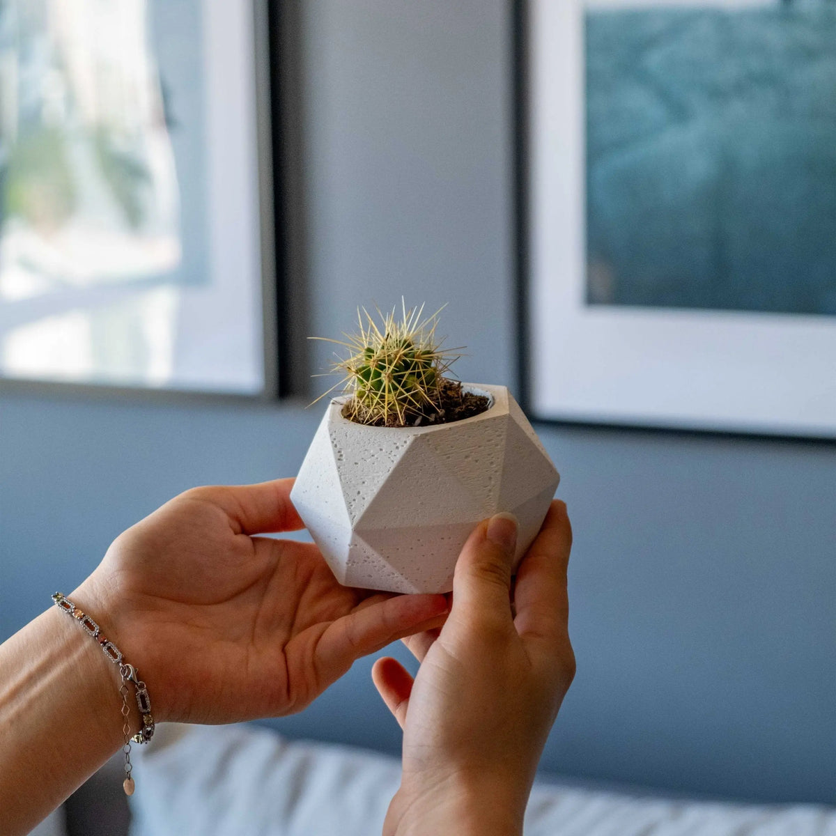 White Concrete Polygonal Pot Gloria Home