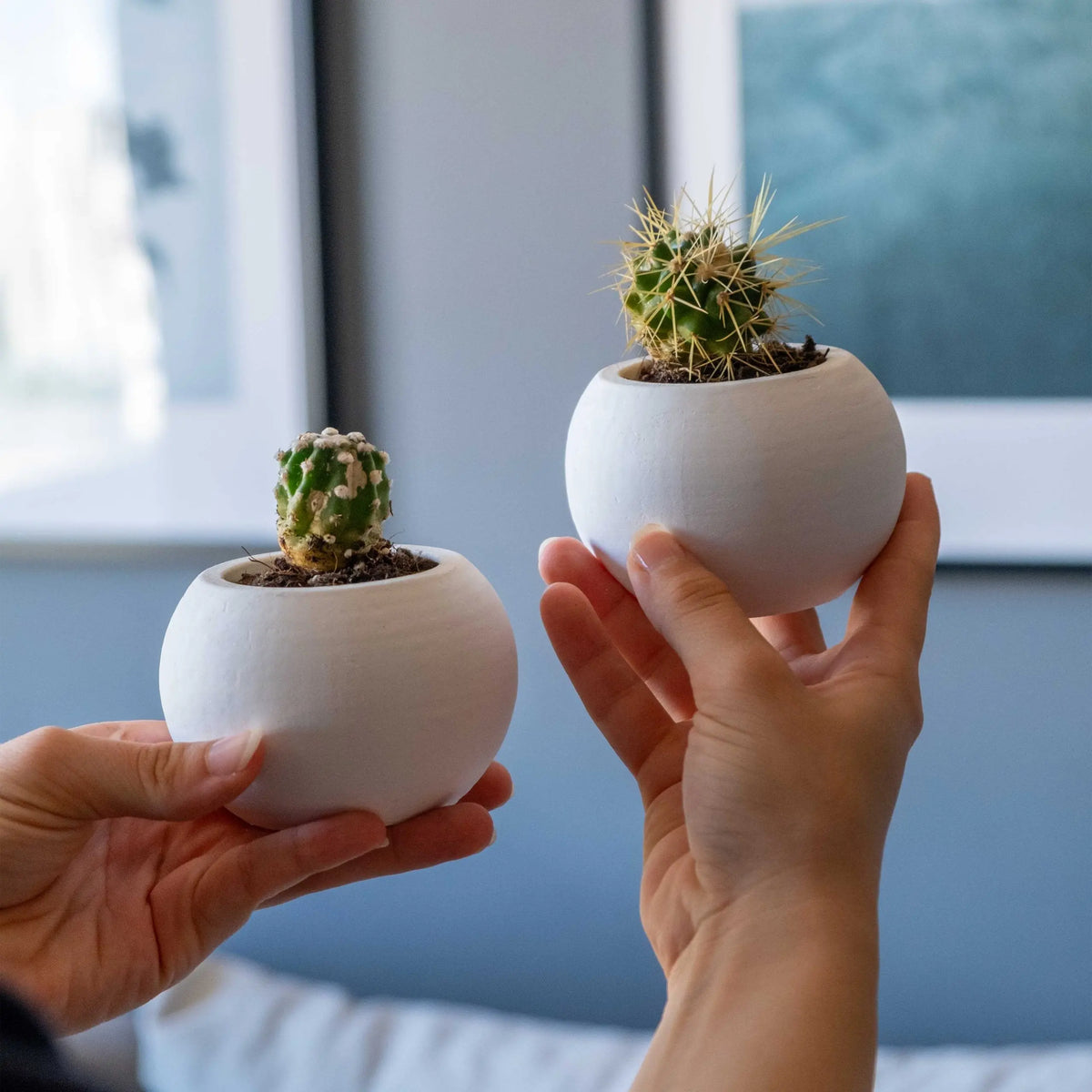 White Concrete Round Pot Gloria Home