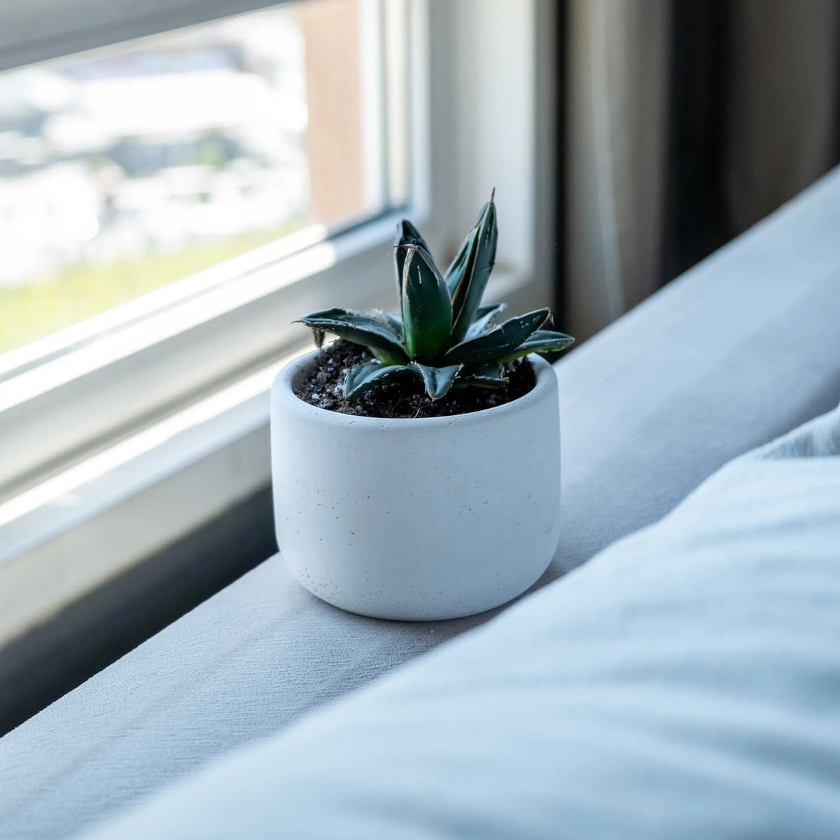 White Concrete Wiener Pot Gloria Home