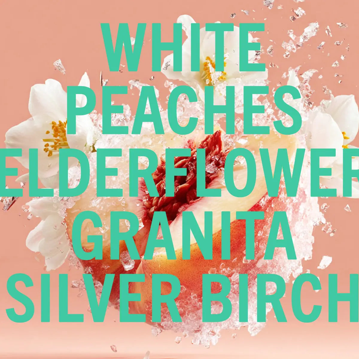 White Peaches Fragrance 100ml Shay & Blue UK