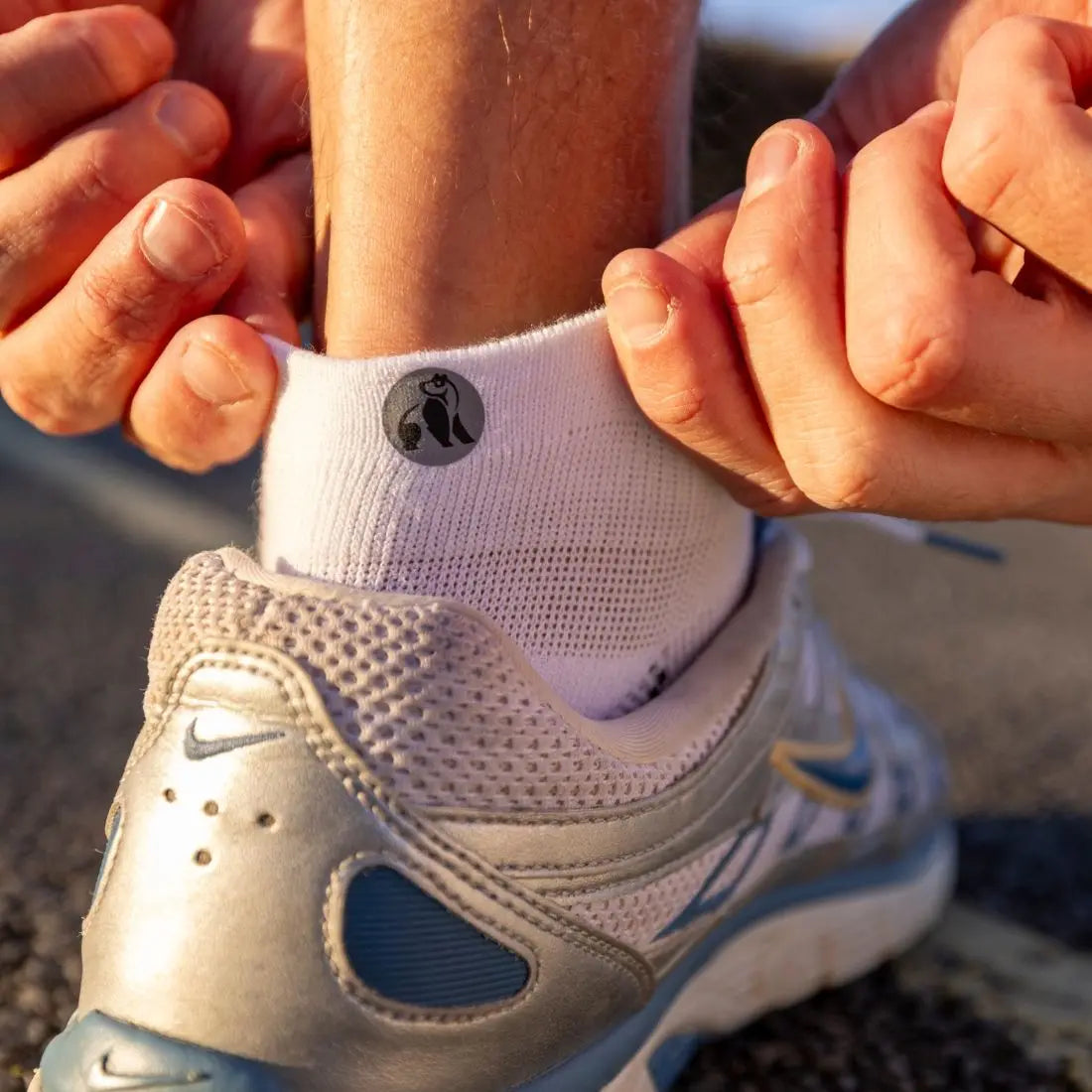 White Performance Trainer Socks Swole Panda