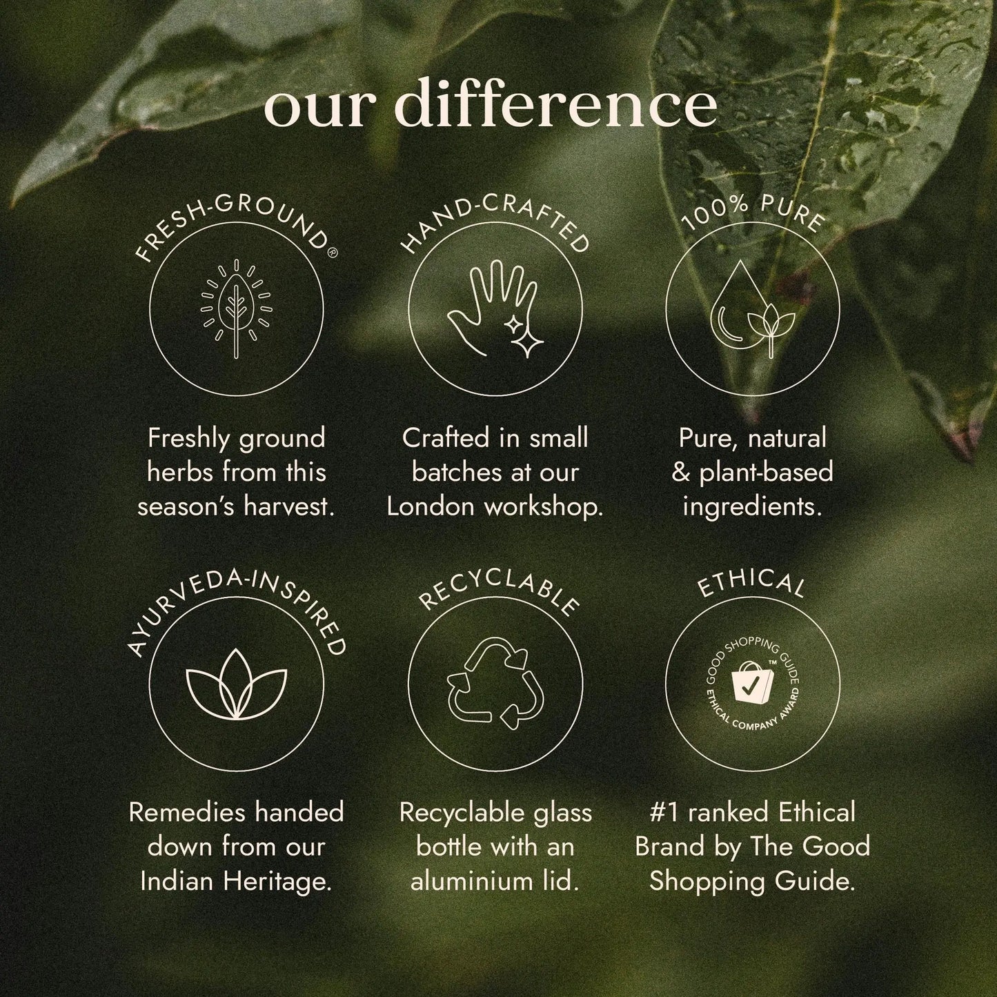 Wild Guggul Fushi Wellbeing