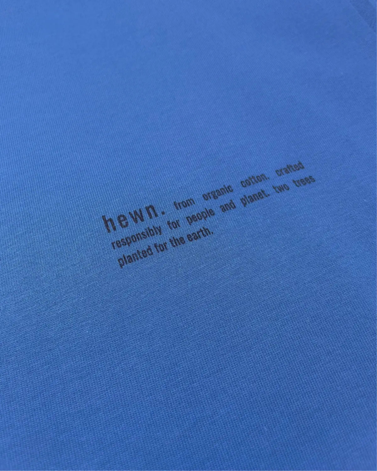 Womens Organic Cotton Relaxed-Fit Sweatshirt in Morpho Blue hewn.