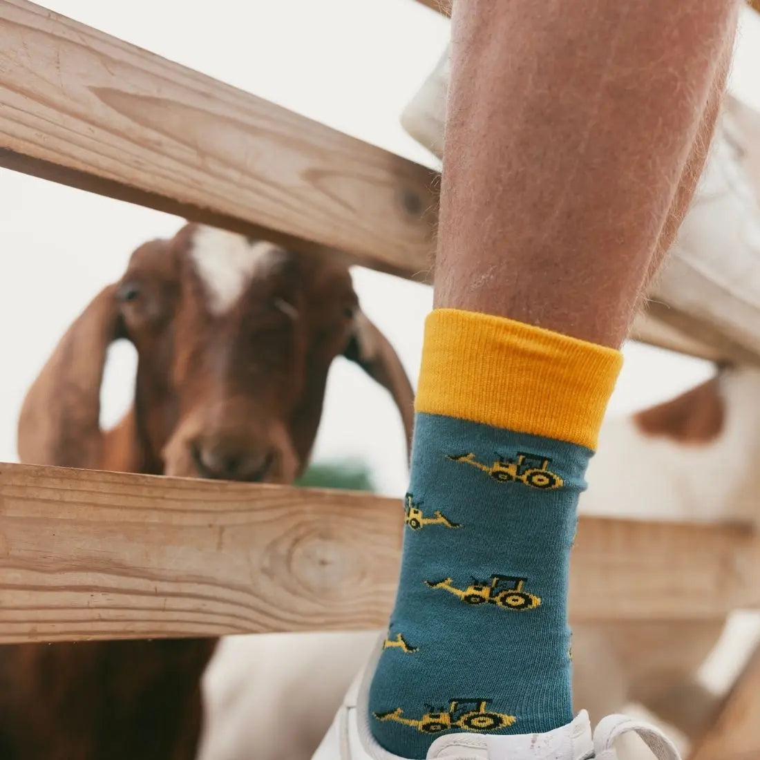 Yellow Digger Bamboo Socks Swole Panda