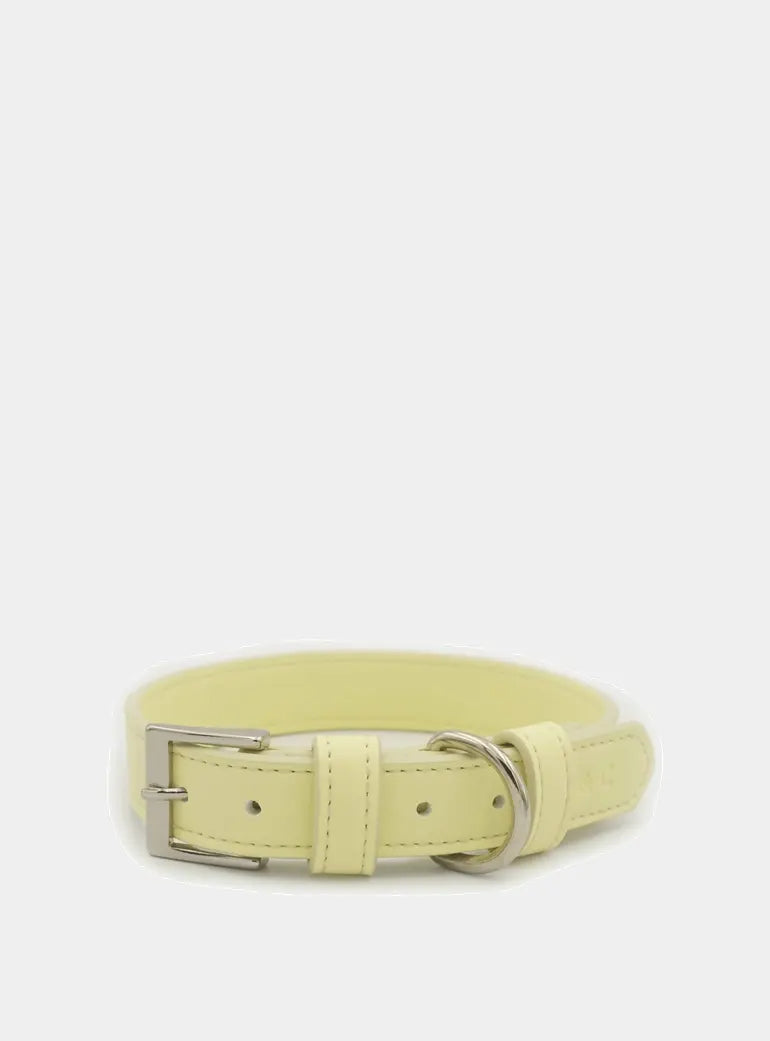 Yellow Leather Dog Collar Ralph & Co