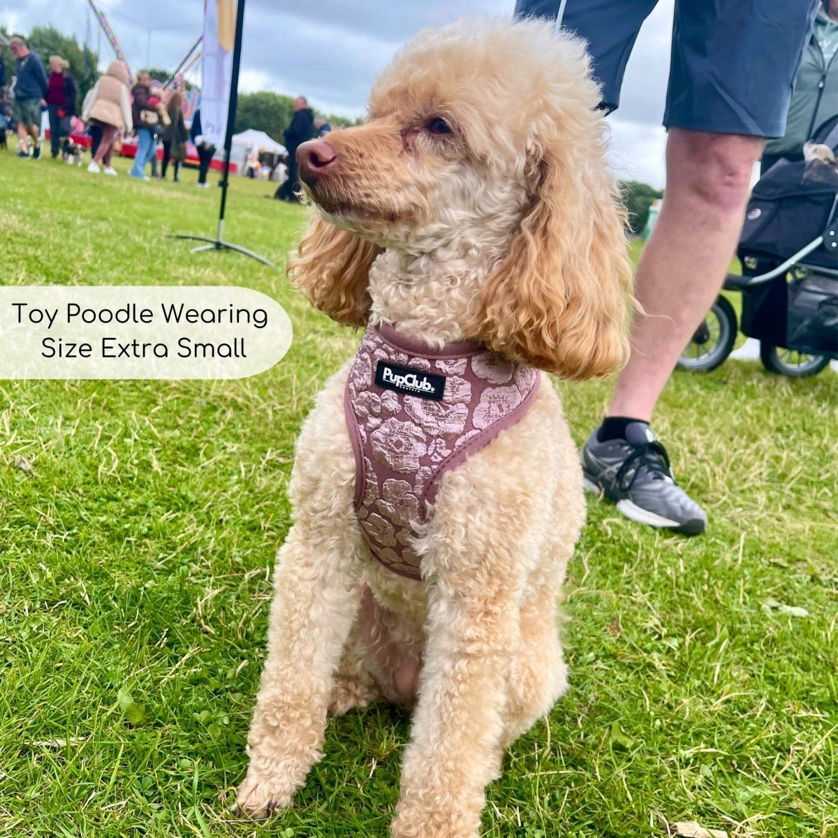 Luxe Adjustable Harness - Mocha Petals PupClub Couture