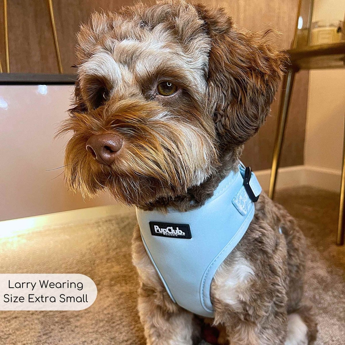 Adjustable Harness - Pastel Blue PupClub Couture