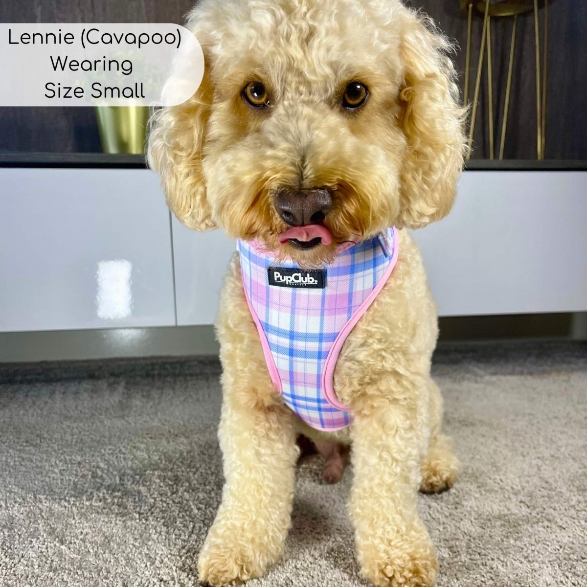 Adjustable Harness - Pink Tartan PupClub Couture