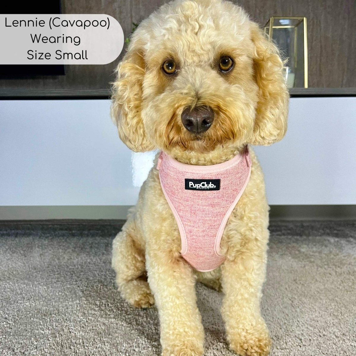 Tweed Adjustable Harness - Pink PupClub Couture