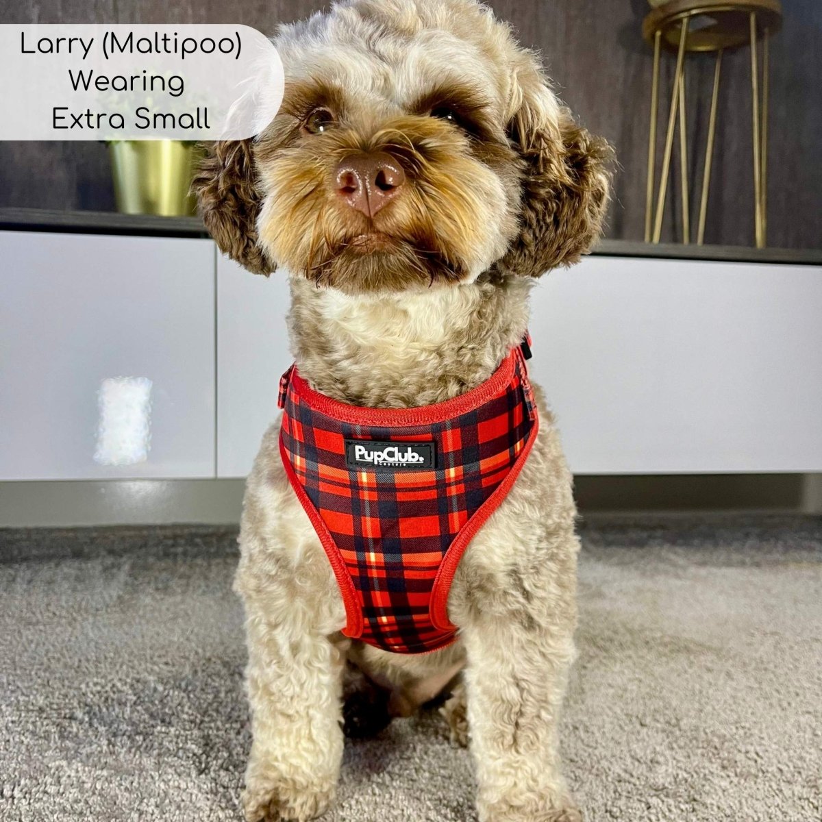 Adjustable Harness - Red Tartan PupClub Couture