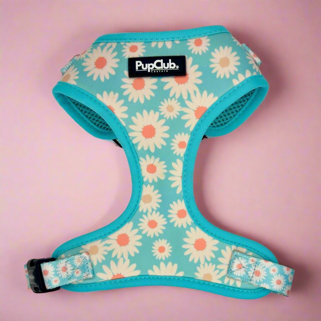 Adjustable Harness - Pastel Daisy PupClub Couture