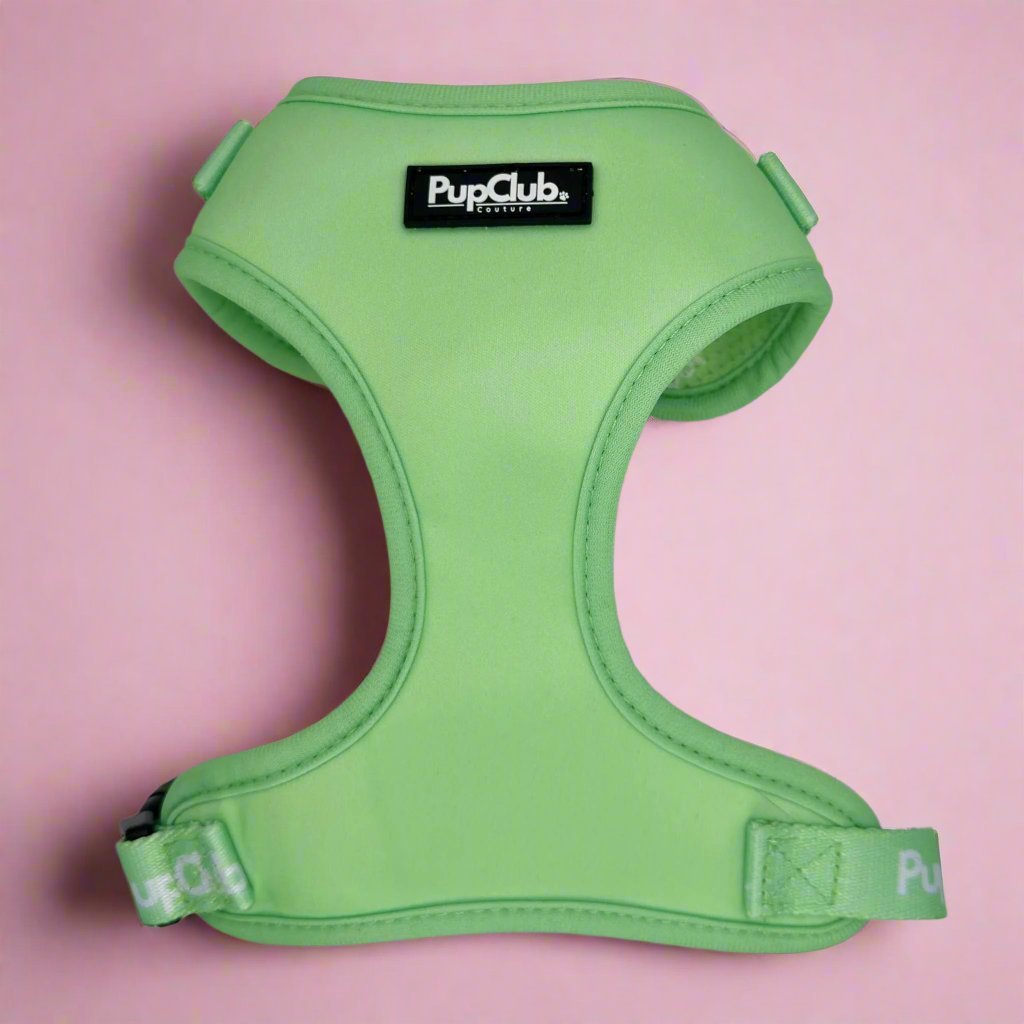 Adjustable Harness - Pastel Mint Green PupClub Couture