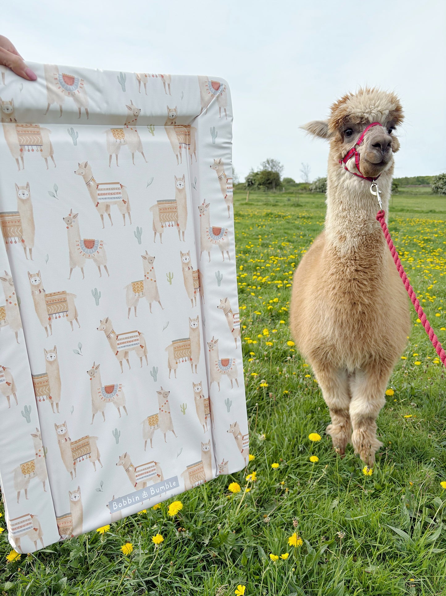 Standard Changing Mat - Alpacas Bobbin and Bumble