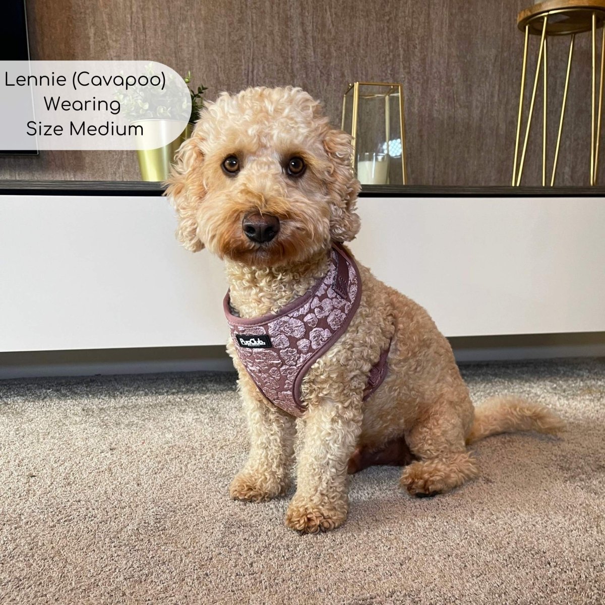 Luxe Adjustable Harness - Mocha Petals PupClub Couture