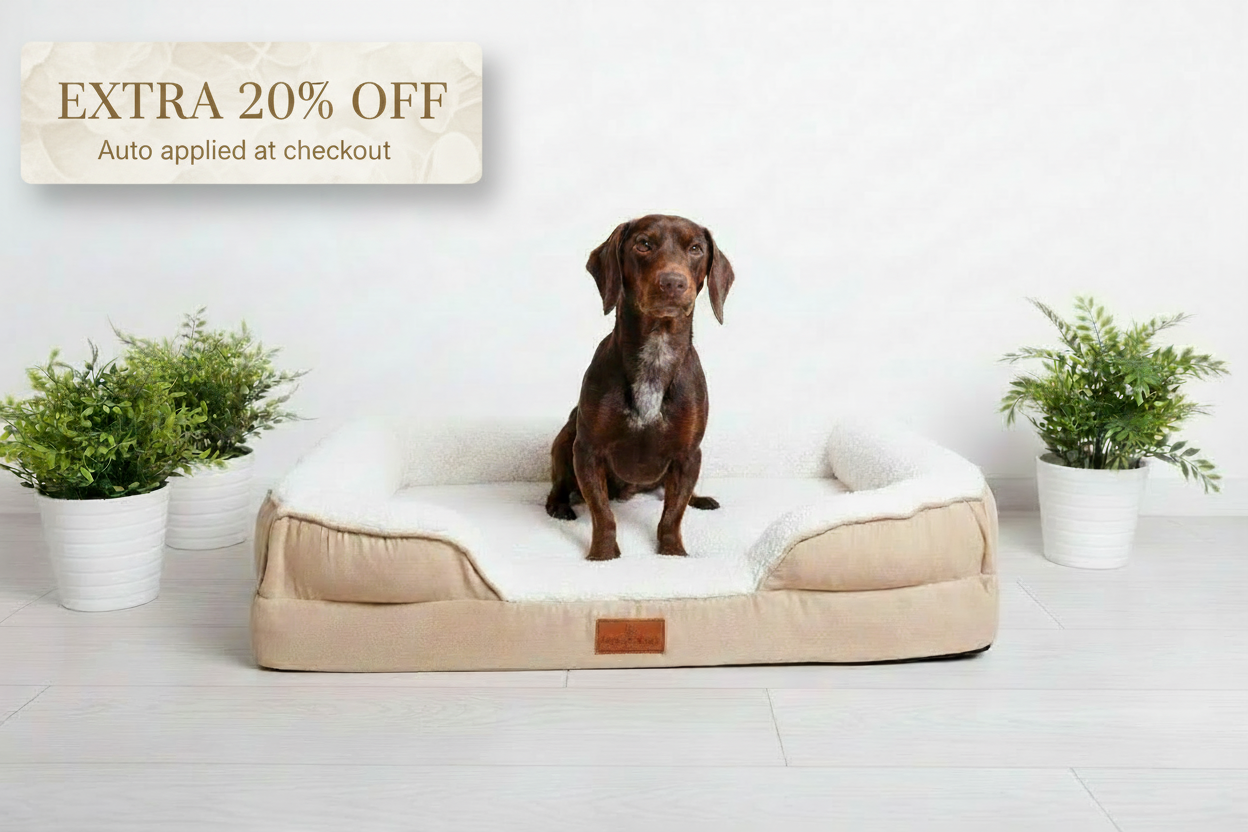 The Belgravia Orthopaedic Dog Sofa™ - Medium Snug n Woof