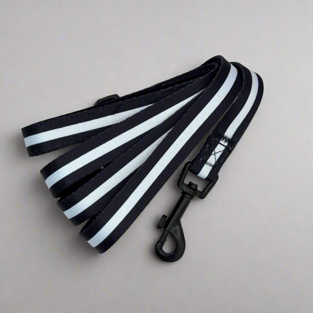 Lead - Midnight Black PupClub Couture