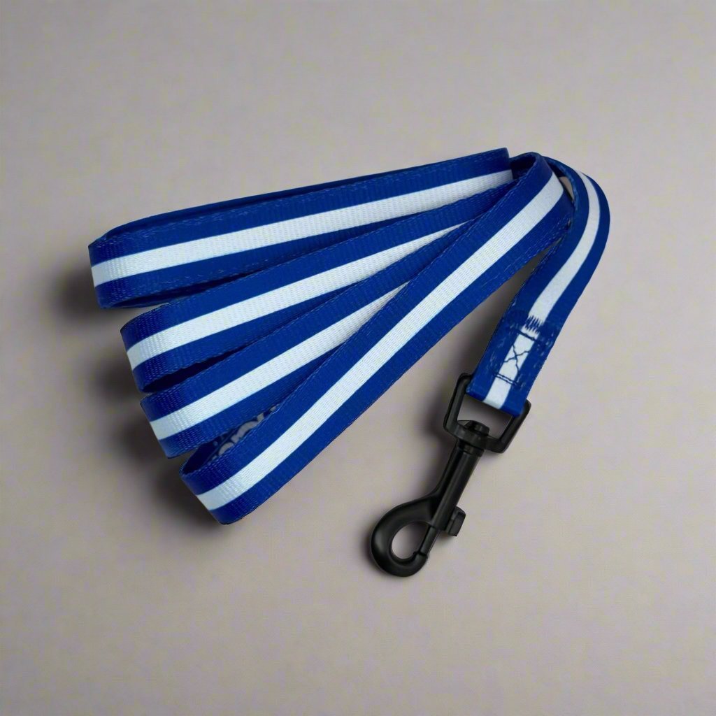 Lead - Royal Blue PupClub Couture