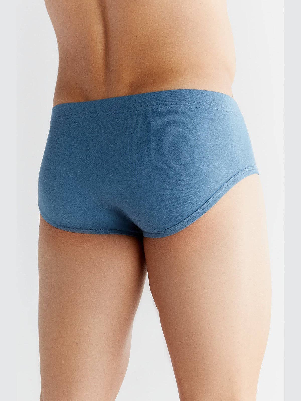 Organic Cotton Briefs: Mens Earth Wardrobe