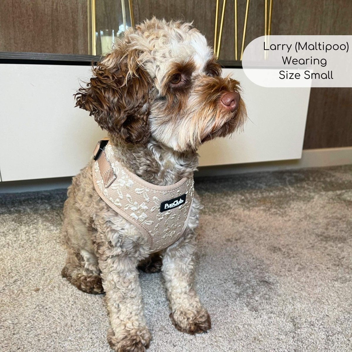 Luxe Adjustable Harness - Toffee Latte Petals PupClub Couture