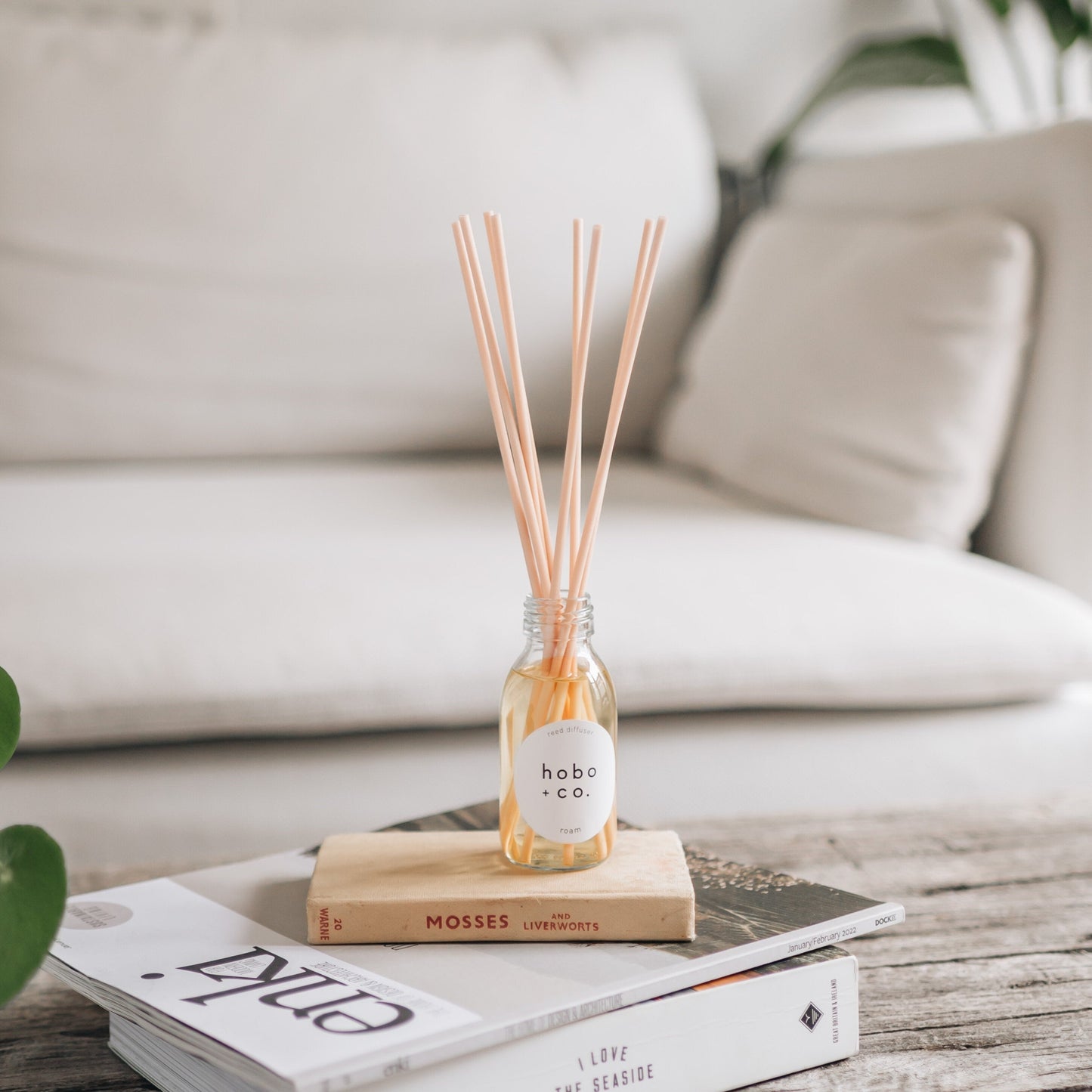 Fig and Cassis Reed Diffuser hobo + co.