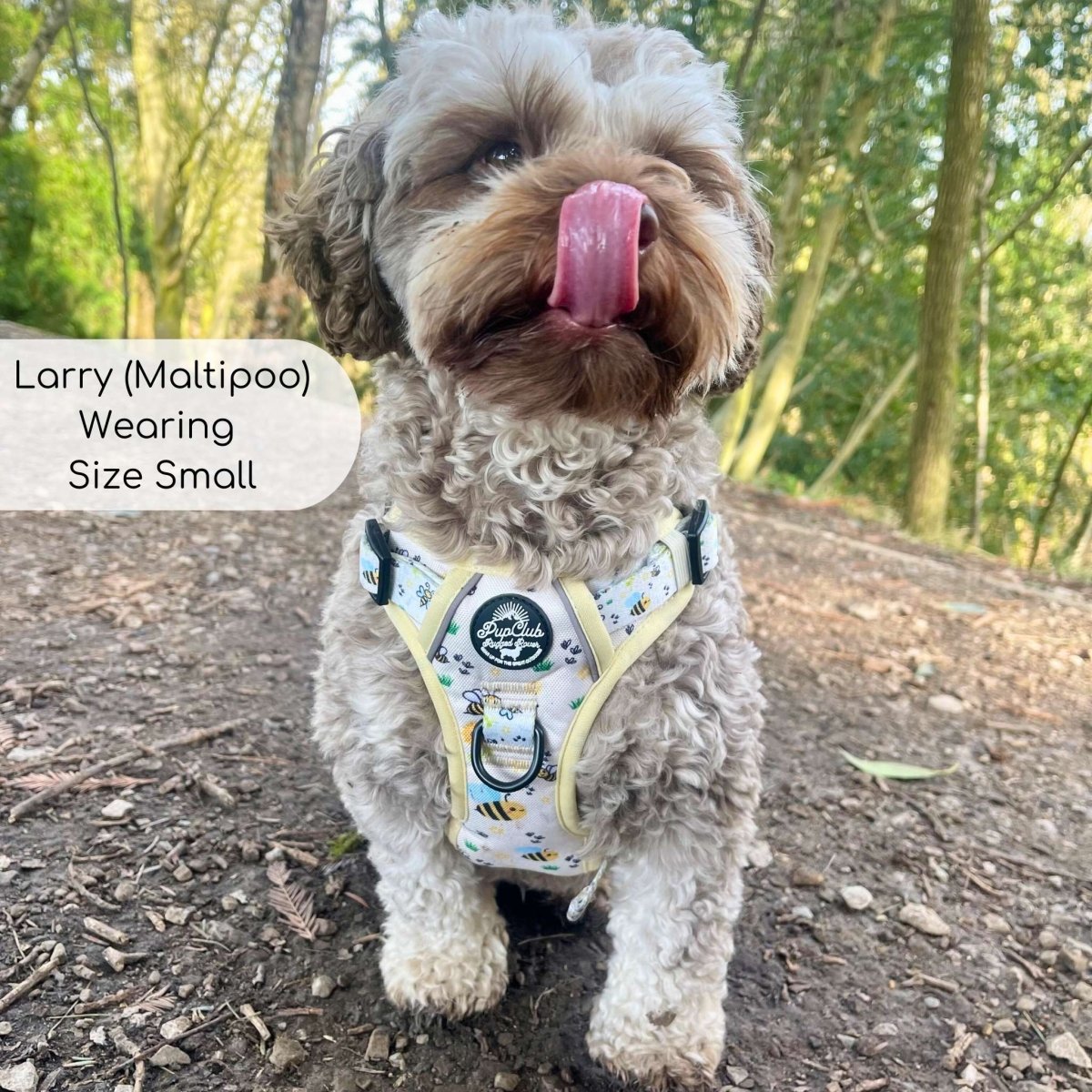 Rugged Rover™ Harness - Bee-utiful Summer PupClub Couture