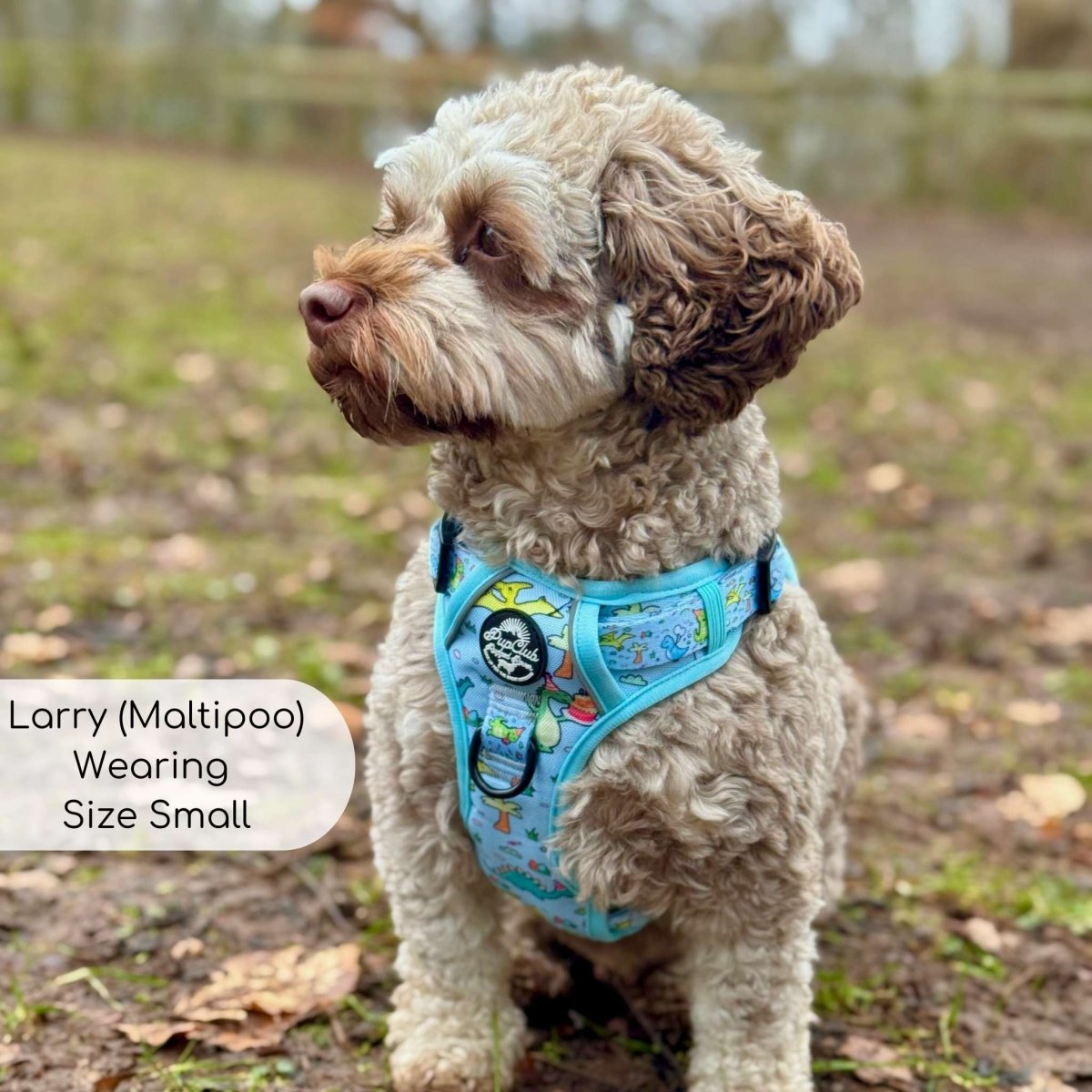 Rugged Rover™ Harness - Jurassic Party PupClub Couture