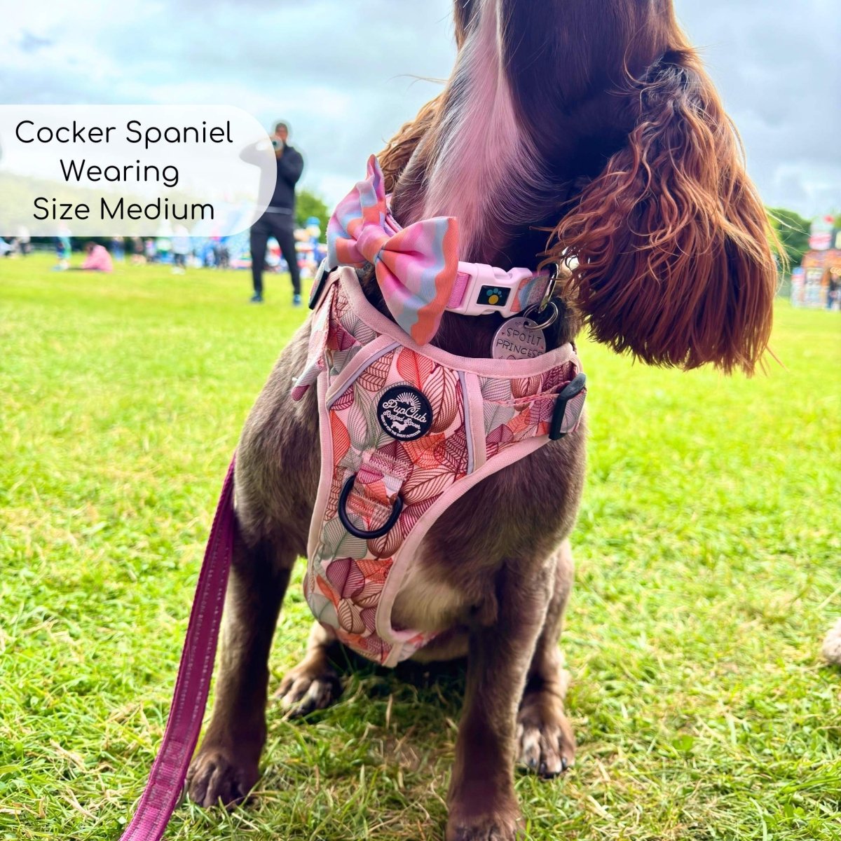 Rugged Rover™ Harness - Autumn Breeze PupClub Couture