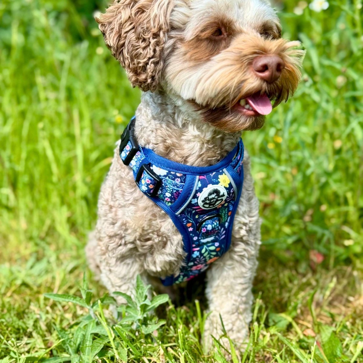 Rugged Rover™ Harness - Summer Meadow PupClub Couture