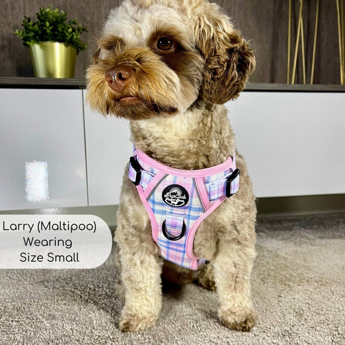 Rugged Rover™ Harness - Pink Tartan PupClub Couture