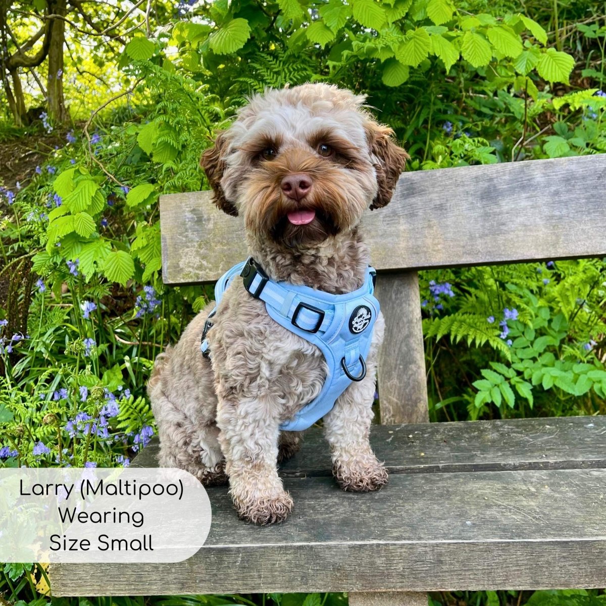 Rugged Rover™ Harness - Pastel Blue PupClub Couture