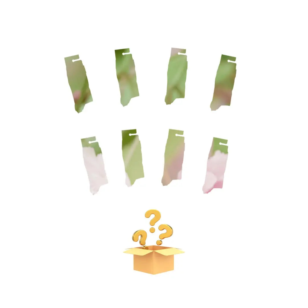 Autumn Mystery Bundle of 8! Bare Kind