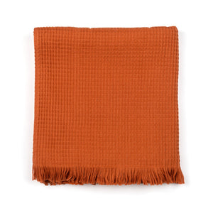 Terracotta