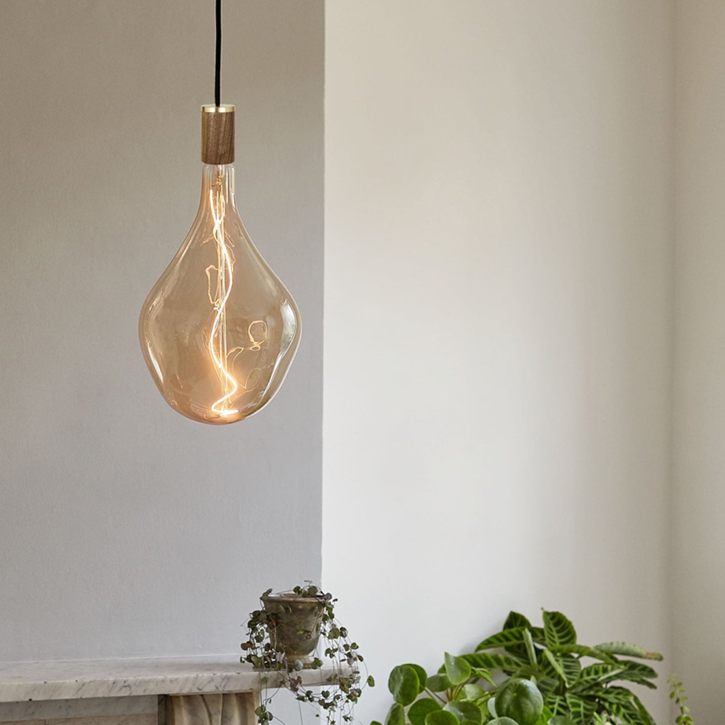 Voronoi III Pendant Light in Walnut Tala