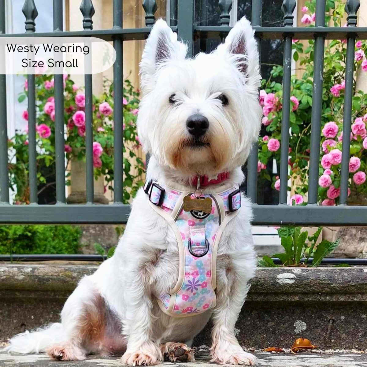 Rugged Rover™ Harness - Pretty Petals PupClub Couture