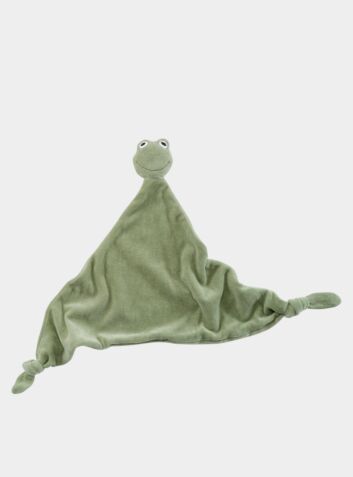 Frog Comforter